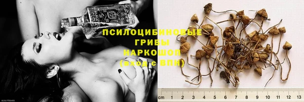 ГАЛЛЮЦИНОГЕННЫЕ ГРИБЫ Алексин