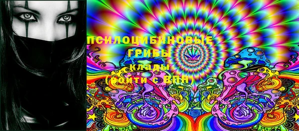 ГАЛЛЮЦИНОГЕННЫЕ ГРИБЫ Алексин