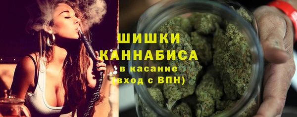 ГАЛЛЮЦИНОГЕННЫЕ ГРИБЫ Алексин