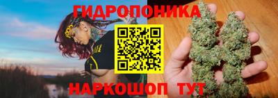 мдпв Жуковский