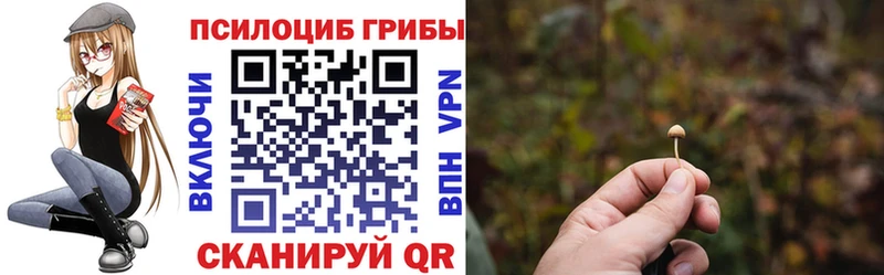 цена   OMG ONION  Псилоцибиновые грибы прущие грибы  Омск 