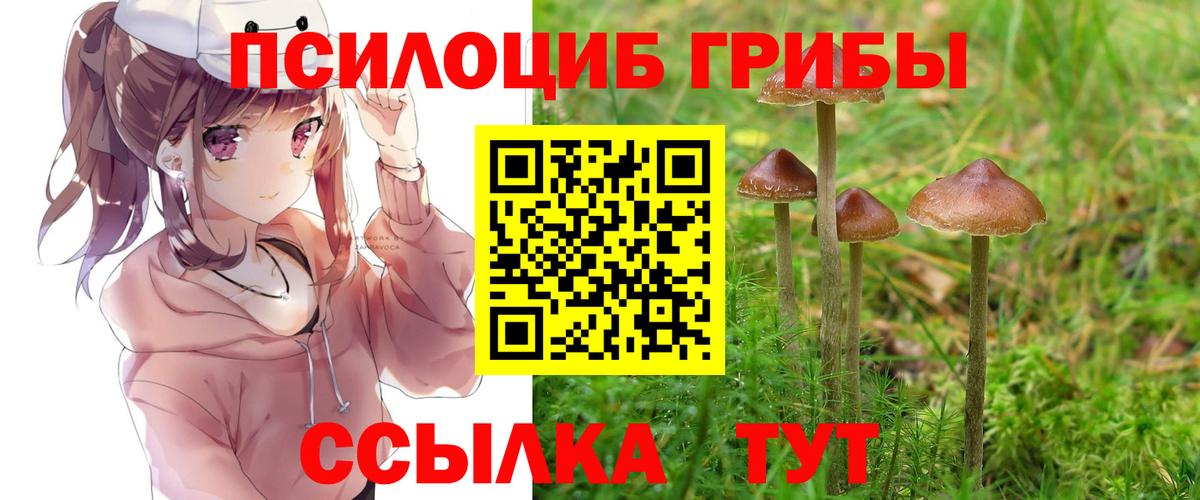 Псилоцибиновые грибы мицелий  Галлюциногенные грибы мицелий  Вход с VPN  Омск 